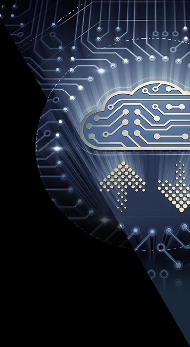 Komplementäre Prüfungs- und Beratungslösungen UNIVIRTUAL Komplementäre Prüfungs- und Beratungslösungen UNIVIRTUAL